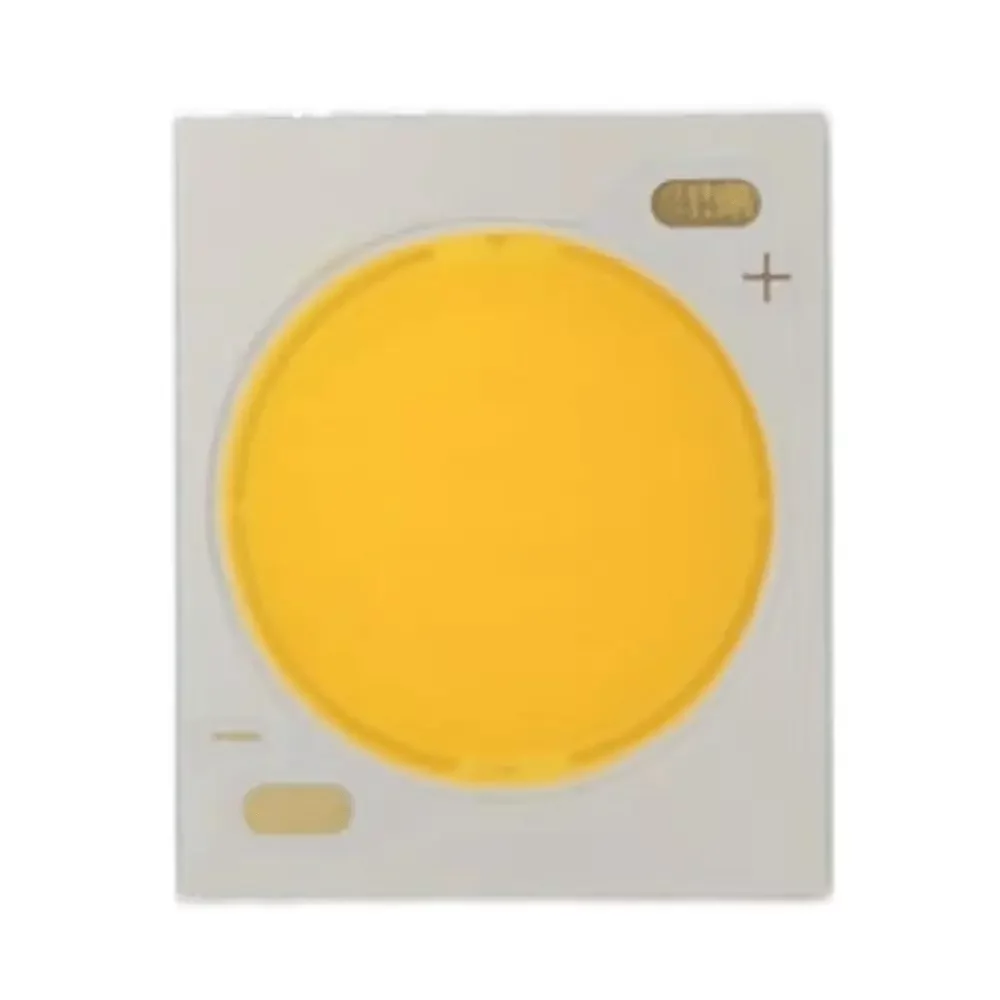 12W 2024 COB LED